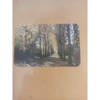 Календарь 1989/9