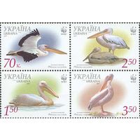 Украина 2007. WWF пеликаны 4марки квартблок