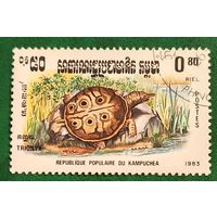 Кампучия 1983. Африканская мягкотелая черепаха