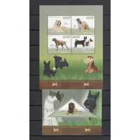 Конго 2015 Фауна собаки 1 лист и 1 блок MNH**