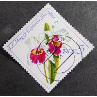 Марка ГДР 1968 Цветы