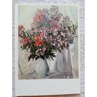 Головин. Флоксы