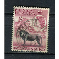 Британские колонии - Кения, Уганда, Таганьика - 1954/1959 - Елизавета II и лев  1Sh - [Mi.100] - 1 марка. Гашеная.  (Лот 41Gy)-T4P31