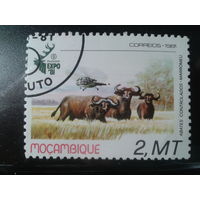 Мозамбик, 1981. Международная выставка охоты в Пловдиве, вертолет и животные