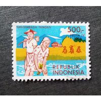 Марка Индонезия 1986 год 4-я пятилетка