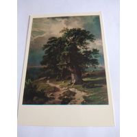 Открытка. И. Шишкин. Дубы. Этюд.