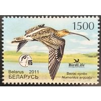 Беларусь 2011. Птицы года. Большой кулик