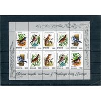 Беларусь 1998. Фауна. Птицы занесенные в Красную книгу. Малый лист