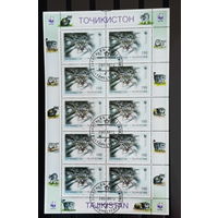 Таджикистан 1996  Фауна. Дикие кошки. Манул