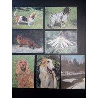 Открытки СССР