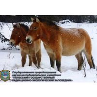 Календарик карманный Полесский заповедник 2025