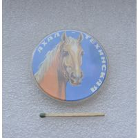 Ахал-текинская.