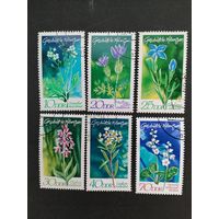 ГДР 1970 Полная серия марок "Охраняемые домашние растения" (гашение с клеем) Mi.1563-1568 каталог 5.00 евро