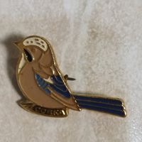 Значок. Сойка. Орнитология.