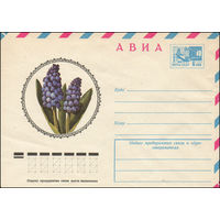 Художественный маркированный конверт СССР N 10820 (24.09.1975) АВИА  Мускари