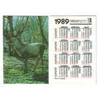 Календарь олень 1989