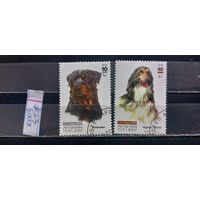 РАСПРОДАЖА АФГАНИСТАН 2003г. Гаш.