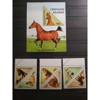 Бенин 1997 г. Лошади.