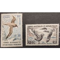 Французские антарктические территории. 1959г. Птицы.