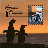 2015 Либерия 6635/B697 Птицы - Пингвины 10,00 евро