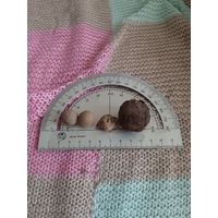 Лот по 1812 году. Армия Наполеона