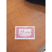 Французская колония Алжир фауна верблюд в пустыне (2-4)