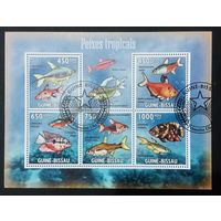 ФАУНА РЫБЫ МОРСКИЕ ОБИТАТЕЛИ    БЛОК  сто