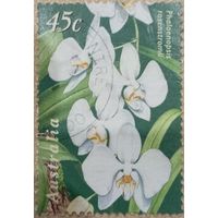 Австралия 1998. Фаленопсис. Орхидея