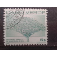Кабо Верде, 2000. Стандарт. Драконово дерево