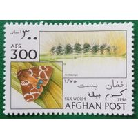 Афганистан 1996. Фауна. Мотылёк. Silk Worm