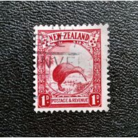 Марка Новая Зеландия 1935 год Птица