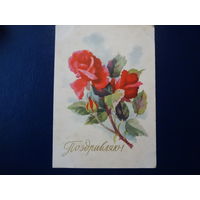 Поздравляю!  Розы.  1962 г.