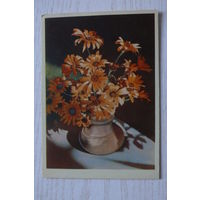 Игнатович Е.(фото), Букет цветов; 1961, чистая.