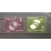 Польша. 1990 год. Раковины (2 марки из серии)