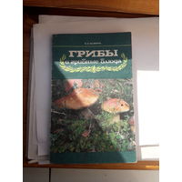 В Фомин Грибы и грибные блюда