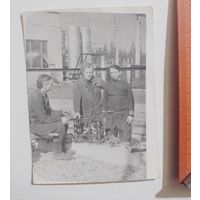 Фото в коллекцию