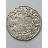 Полугрош Александра2