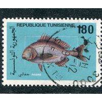 Тунис. Фауна. Рыбы