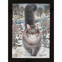 Открытка. Фауна. Животные. Кот. Коты. Котики. Степан. Худ. Т.Хазова (чистая)