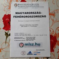 2002.04.17. Венгрия - Беларусь. Товарищеский матч.