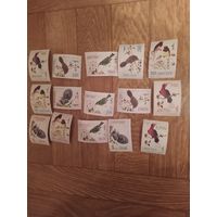 Бутан серия марок полная 1968 г. Фауна.