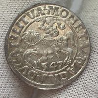 Паўгрош / полугрош 1547 г. (2). Ярчайший блеск, патина! Очень красивая монета!