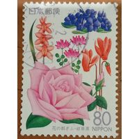 Япония. Флора. Цветы