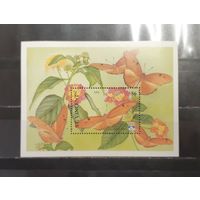 Сент Винсент. Фауна. Бабочки (блок) (1438)