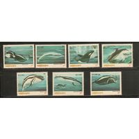 Вьетнам-1985(Мих.1626-1632) , **   , Морская Фауна , Киты (полная серия)
