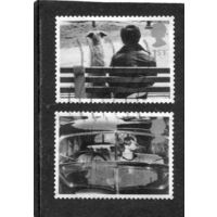 Великобритания. Собака и кошки