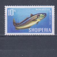 [1959] Албания 1967. Фауна.Рыба.10 к. Гашеная марка.