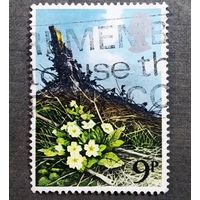 Марка Великобритания 1979 год Цветы