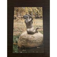 Открытка,Несвиж