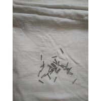 Винт М1,6х10(в лоте 50шт)